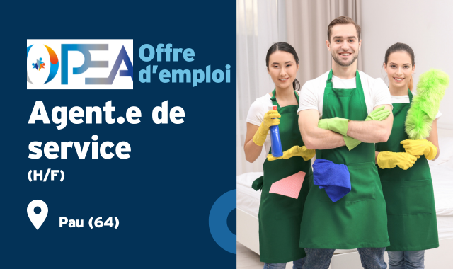 job agent de service