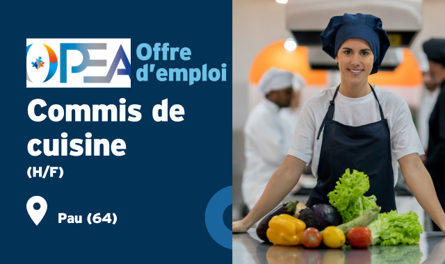 job-commis de cuisine